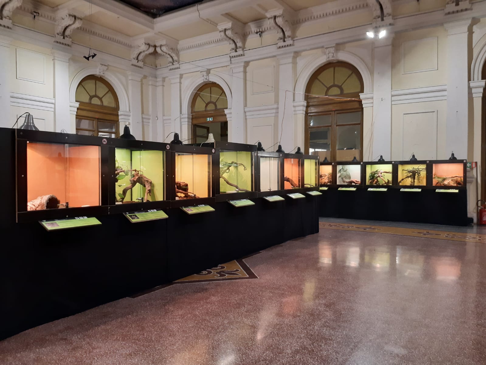 museo di storia naturale del salento